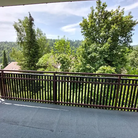 Daire Aurora Todtmoos