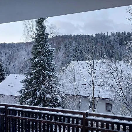 Aurora Appartement Todtmoos