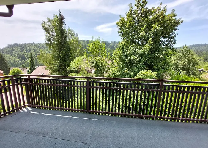 Lejlighed Aurora Todtmoos