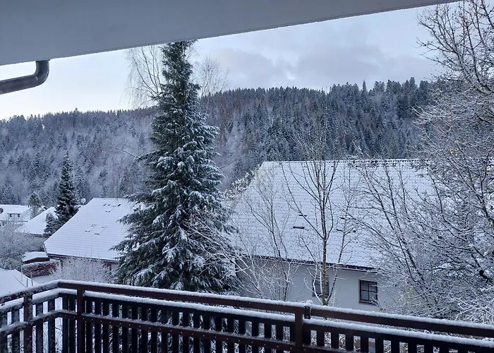 Aurora Lejlighed Todtmoos